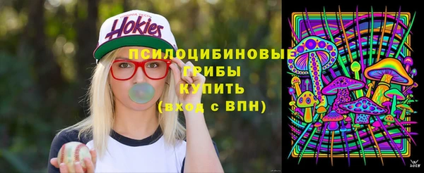 МДПВ Алзамай